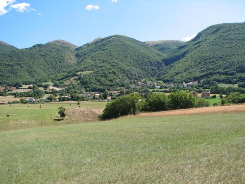 asinelli-32.JPG